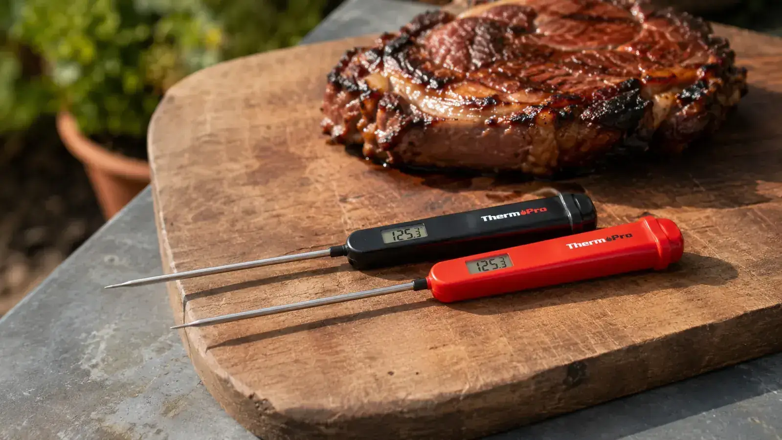 Alpha Grillers vs. ThermoWorks Thermapen: Which Thermometer Is Worth It?